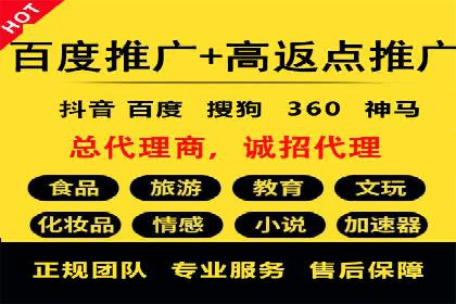 百度竞价代运营公司成功案例解析